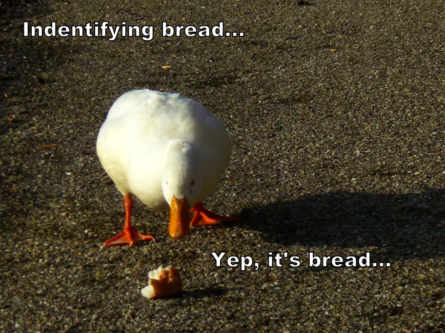Mnx bread.jpg